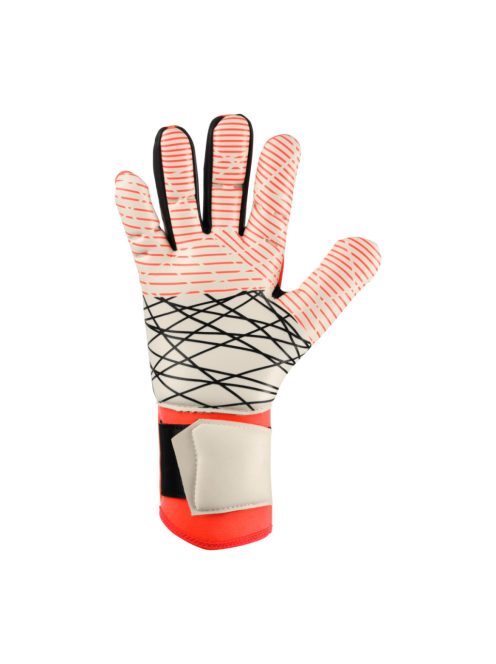 FangMachine ZNE ULTRAGRIP HN
