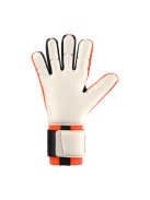 FangMachine ZNE Absolutgrip HN FIT