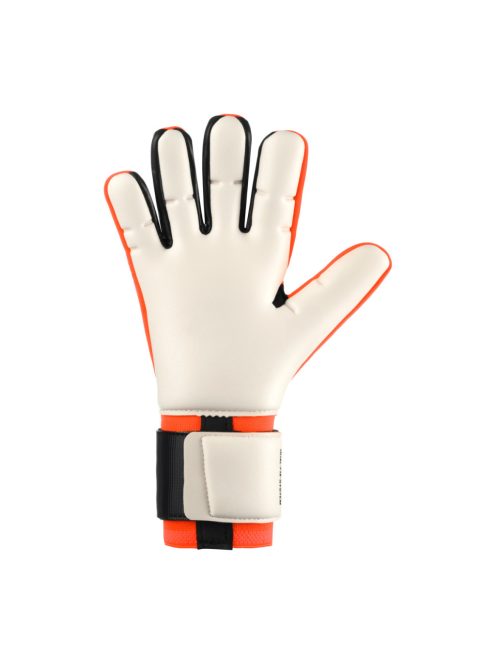 FangMachine ZNE Absolutgrip HN FIT