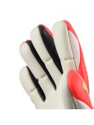 FangMachine ZNE Absolutgrip HN